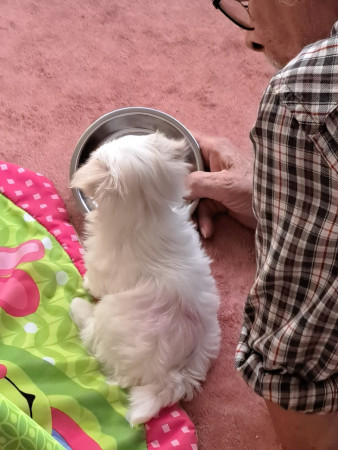 30-8-25 17.58 uur Grazia eten